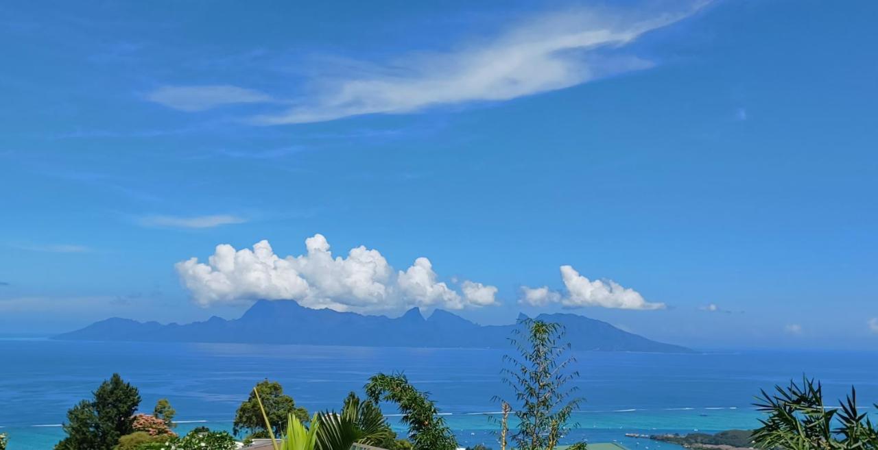 Studio Confort Avec Piscine Et Vue Tahiti Punaauia Экстерьер фото