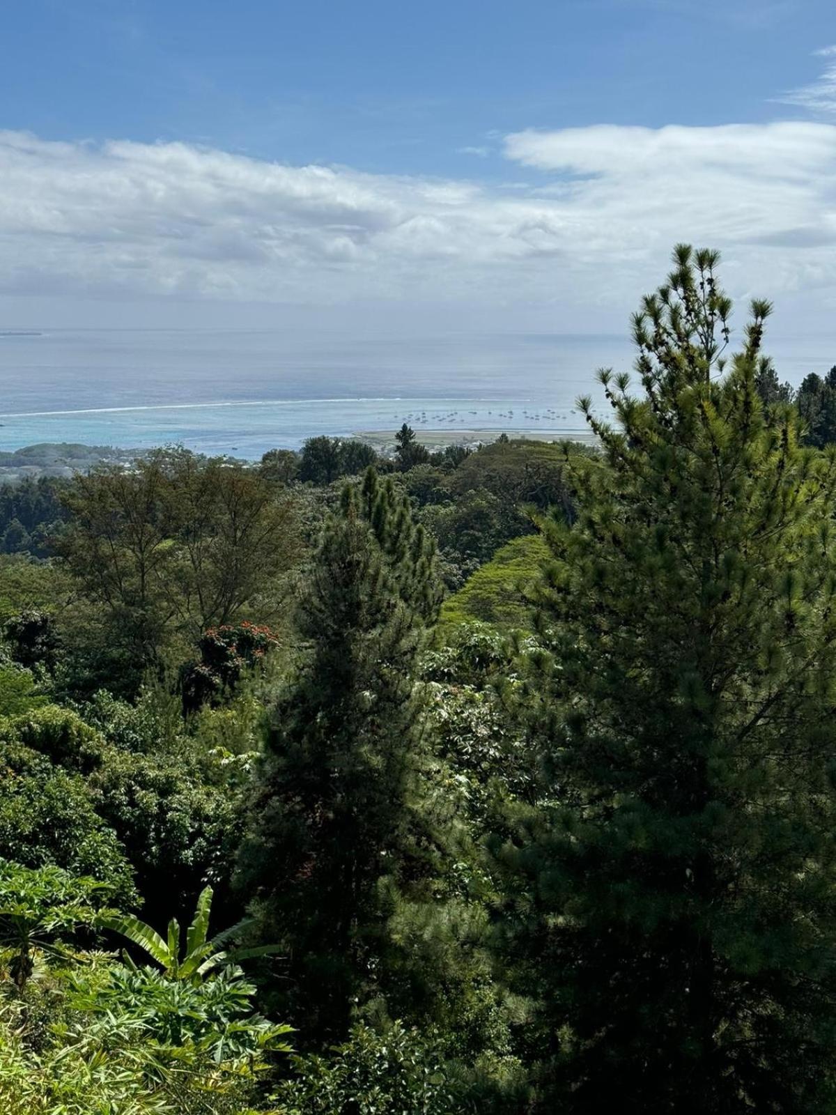 Studio Confort Avec Piscine Et Vue Tahiti Punaauia Экстерьер фото
